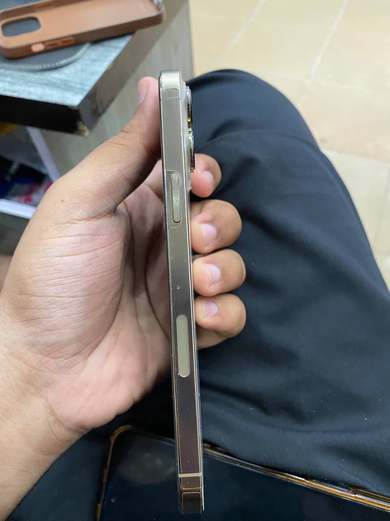 Apple iPhone 13 Pro Max 7