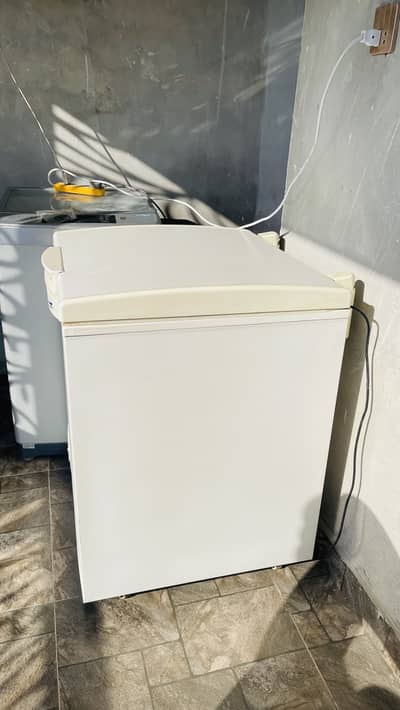 Waves freezer single door
