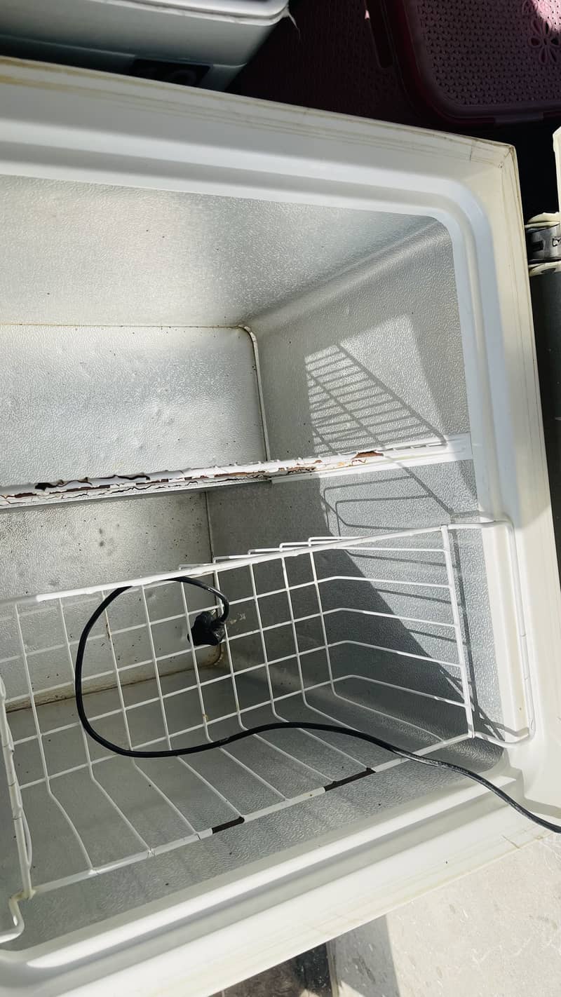 Waves freezer single door 3