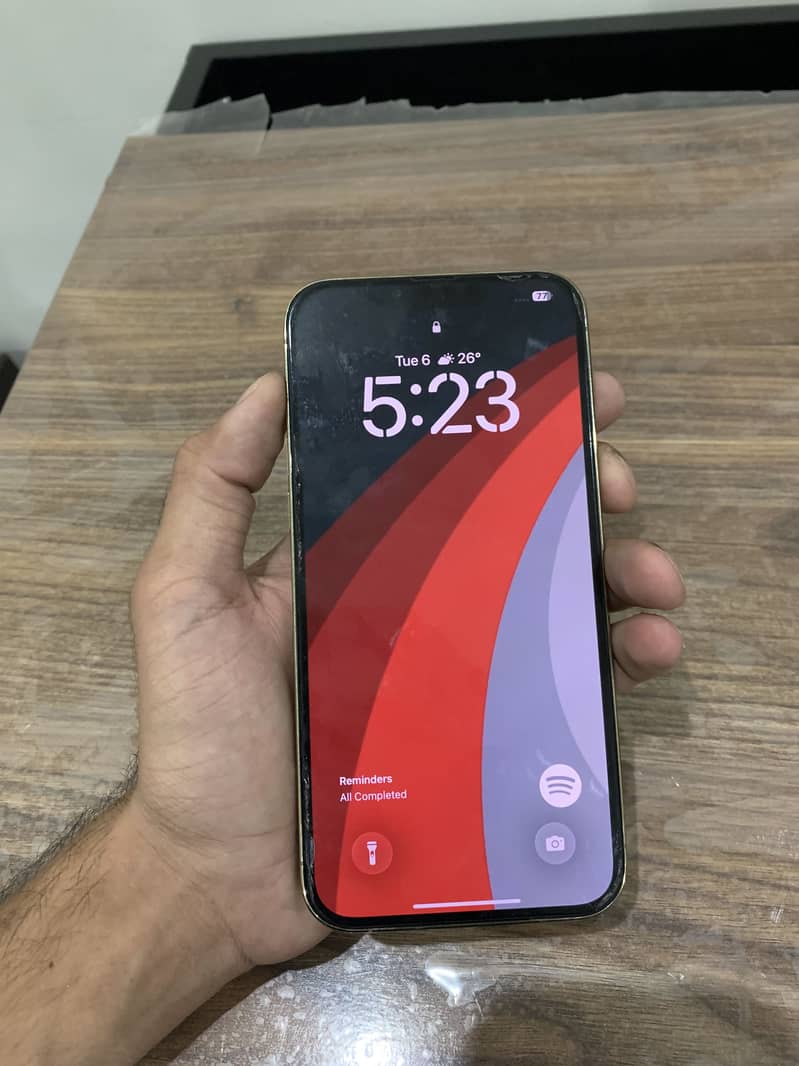 Apple iPhone 13 Pro Max 1