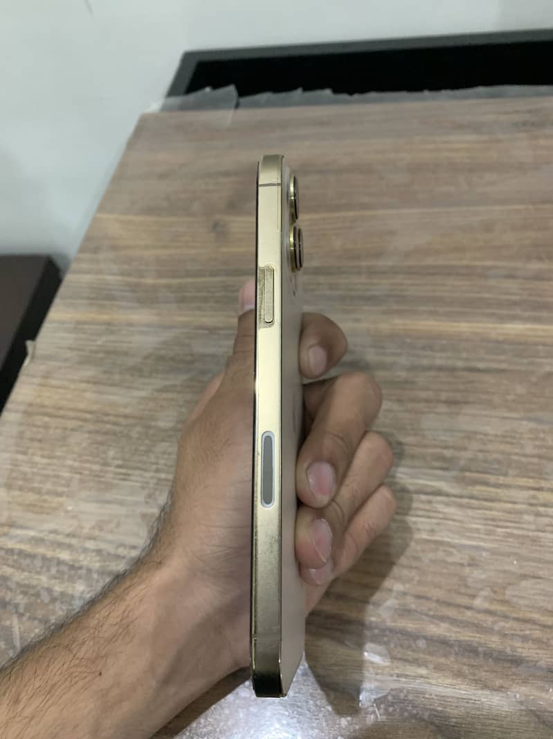 Apple iPhone 13 Pro Max 2