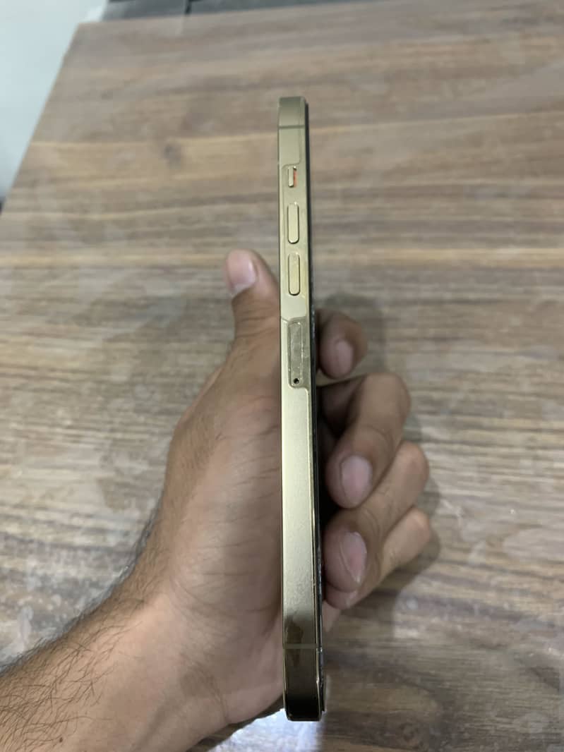 Apple iPhone 13 Pro Max 3