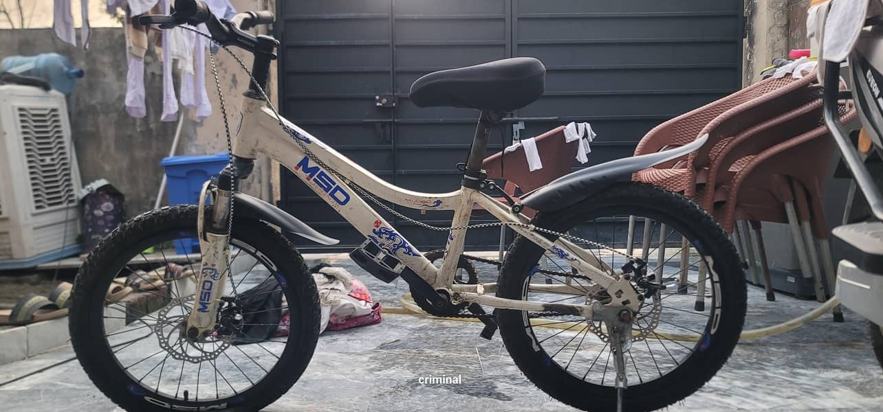 MSD bicycle 1