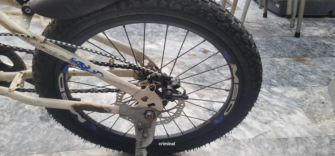 MSD bicycle 2