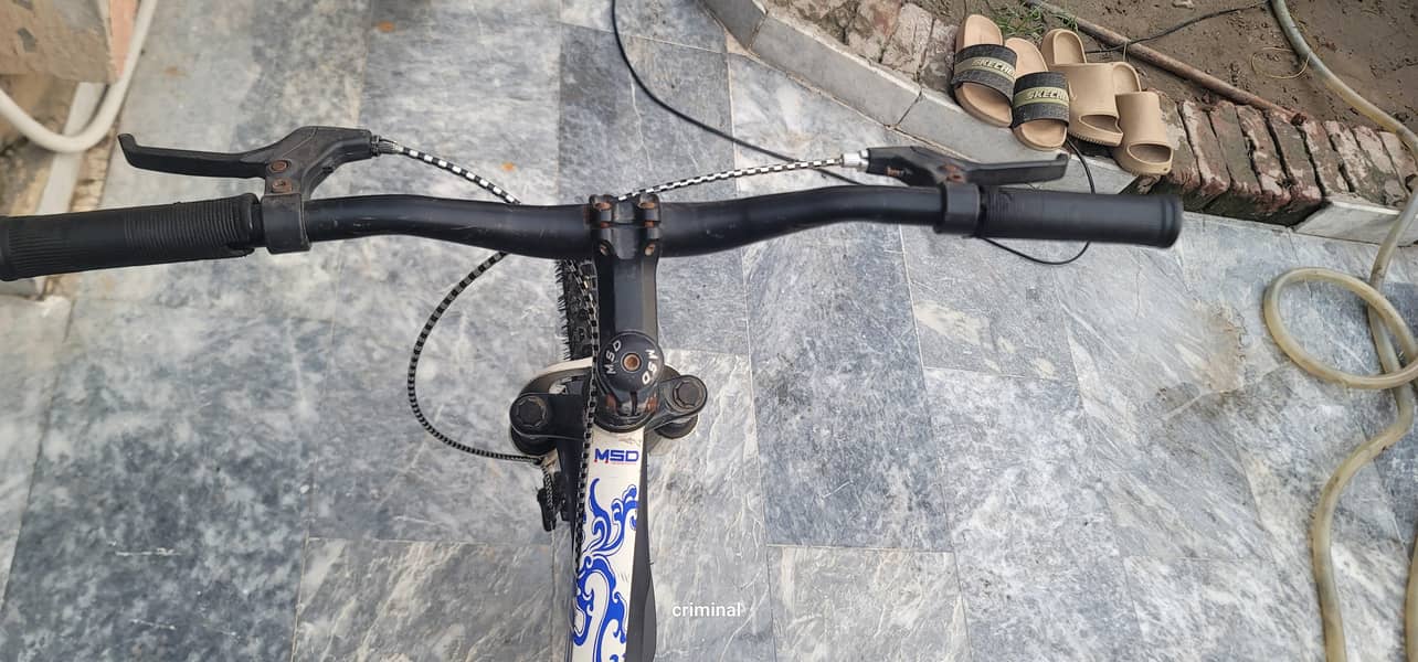 MSD bicycle 5