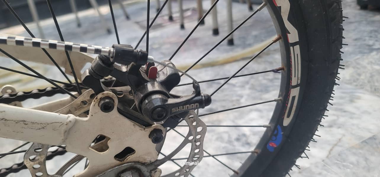 MSD bicycle 6