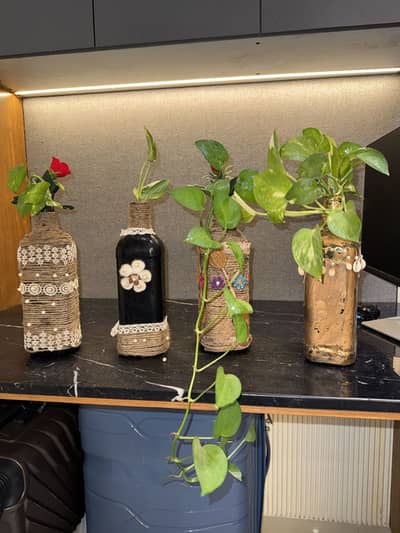 Beautifull home made design pots with money plant