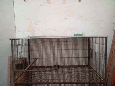 metal cage 10/8 all ok    2. cage available