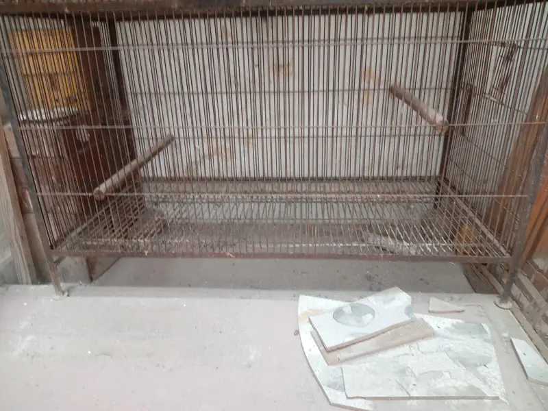 metal cage 10/8 all ok    2. cage available — photo 2