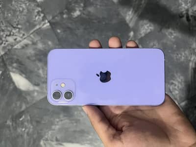 Apple iPhone 12