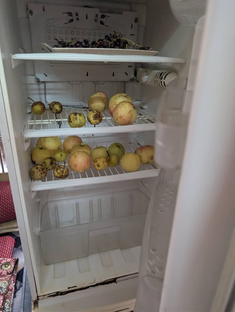 pel refrigerator 1