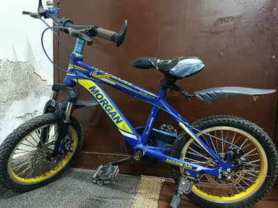16 inch used cycle