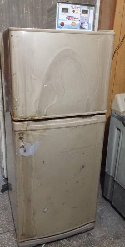 fridge & freezer