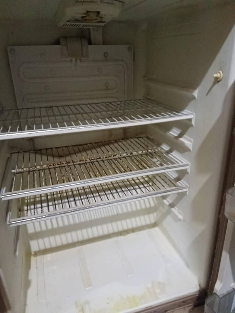 fridge & freezer 1