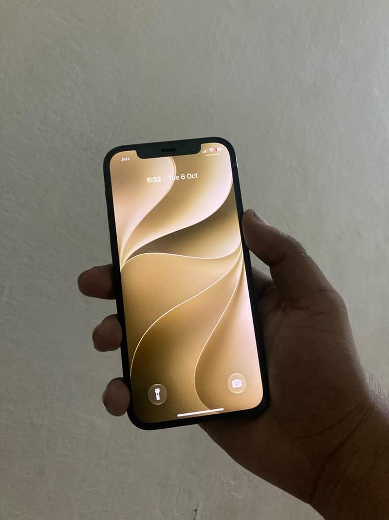 Apple iPhone 12 Pro 0