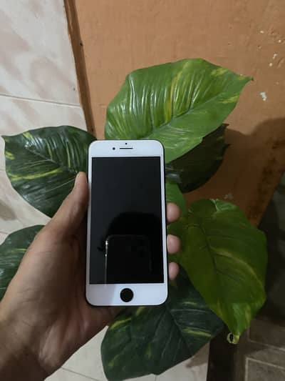 Apple iPhone 7
