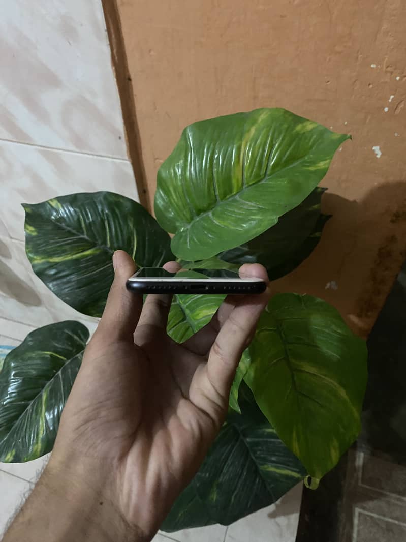 Apple iPhone 7 3