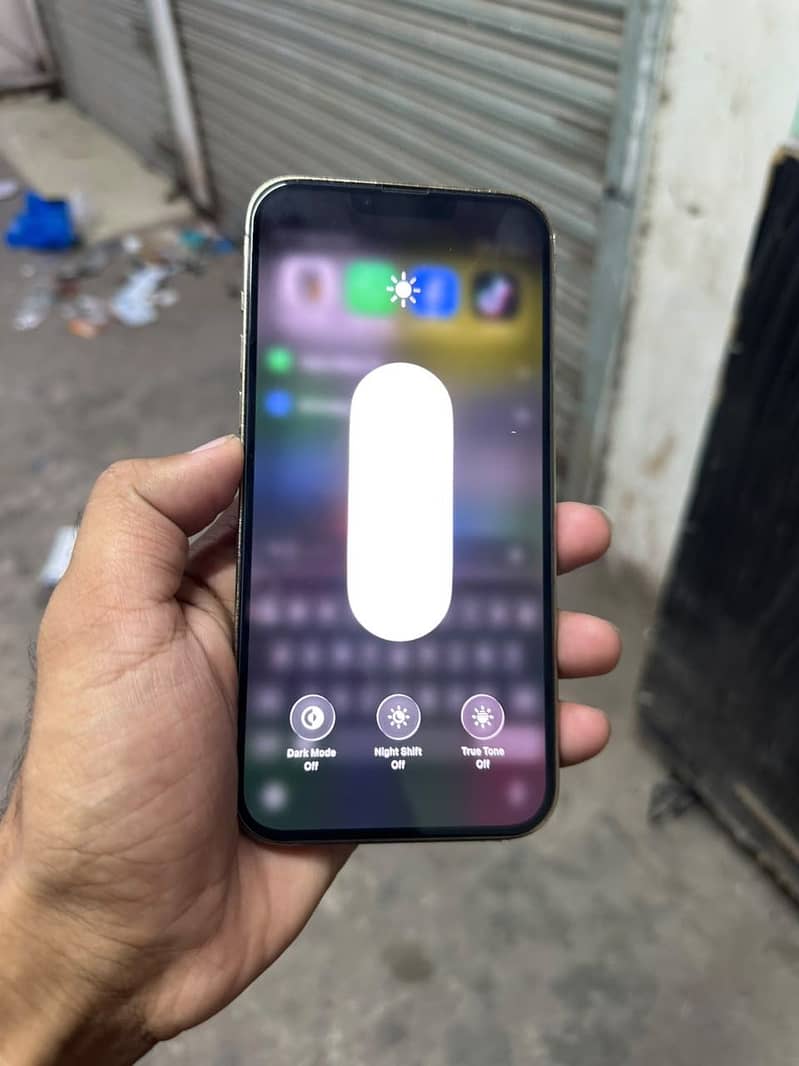 Apple iPhone 13 Pro Max 1