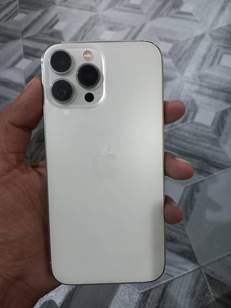 Apple iPhone 13 Pro Max 1