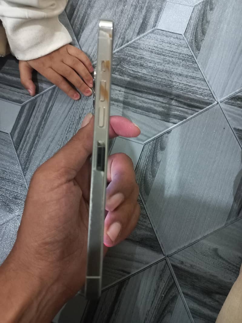 Apple iPhone 13 Pro Max 5