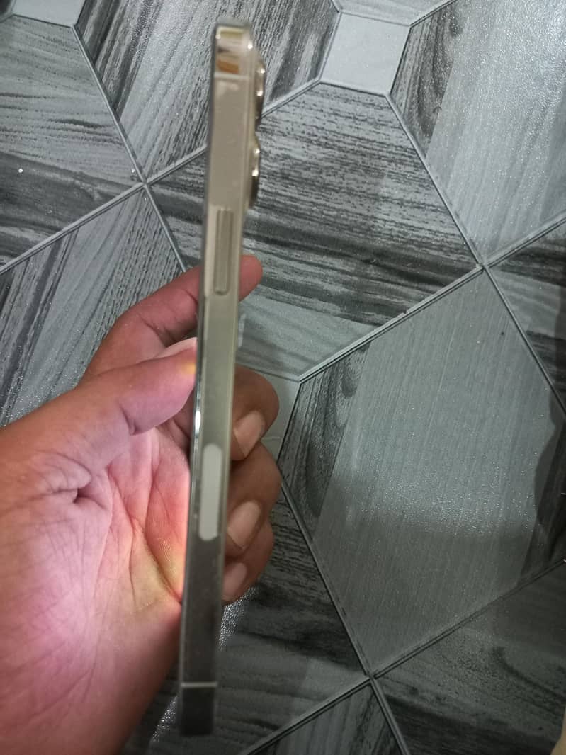 Apple iPhone 13 Pro Max 7