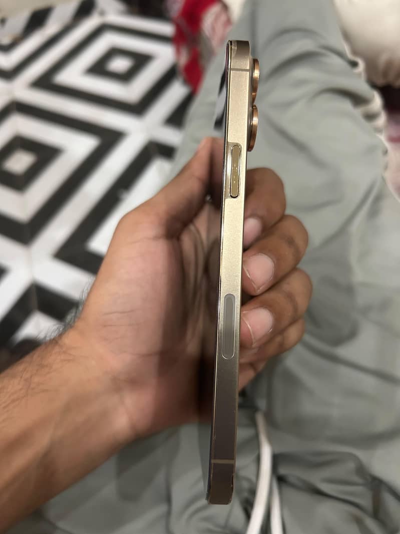 Apple iPhone 13 Pro Max 5