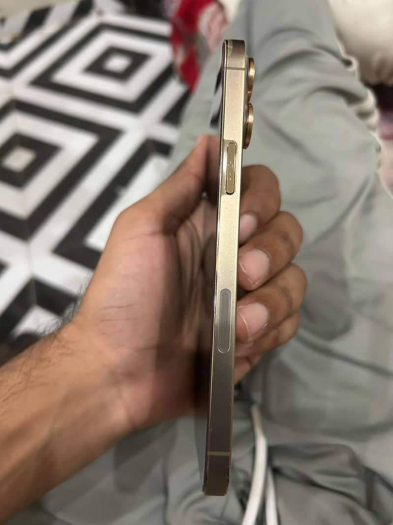 Apple iPhone 13 Pro Max 10