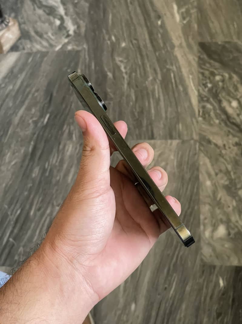Apple iPhone 13 Pro Max 1