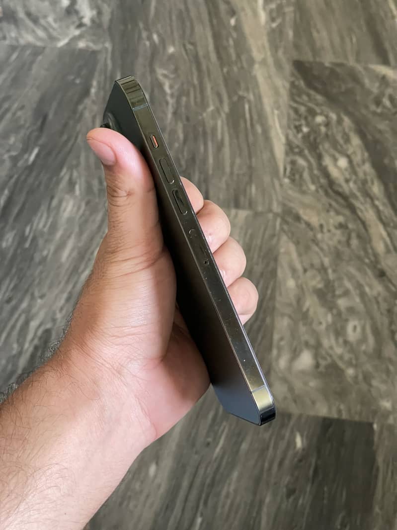 Apple iPhone 13 Pro Max 2