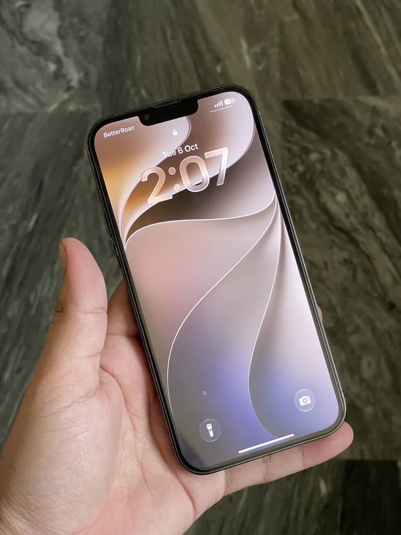 Apple iPhone 13 Pro Max 6