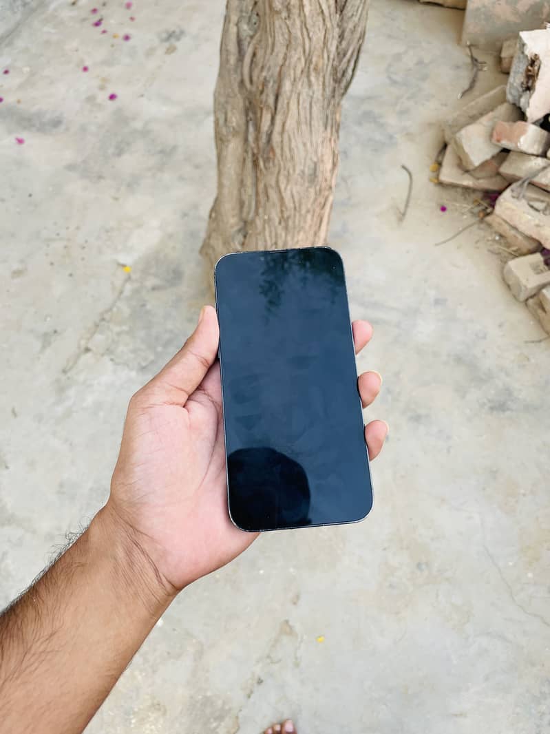 Apple iPhone 13 Pro Max 2