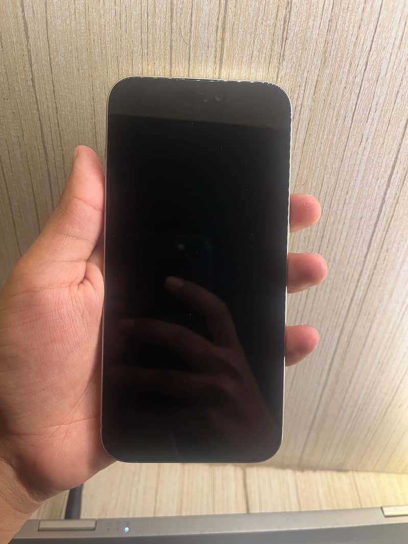 Apple iPhone 15 Pro Max 0