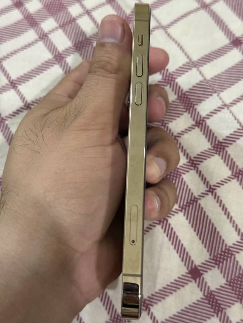 iPhone 12 Pro 2