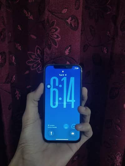 Apple iPhone 12 Pro