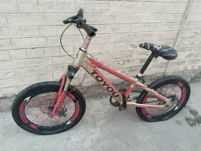 20-inch By cycle (9 to 13 years) Toyou Fast (Japanese)
