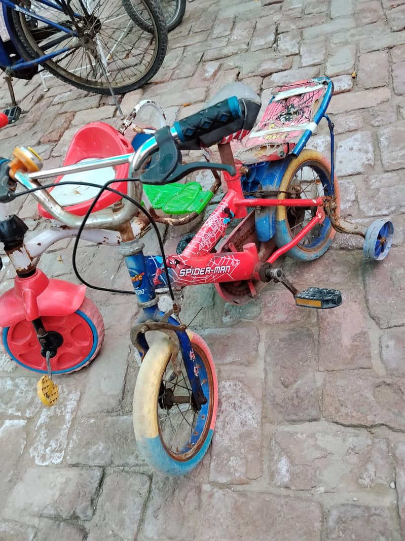 cycle 1