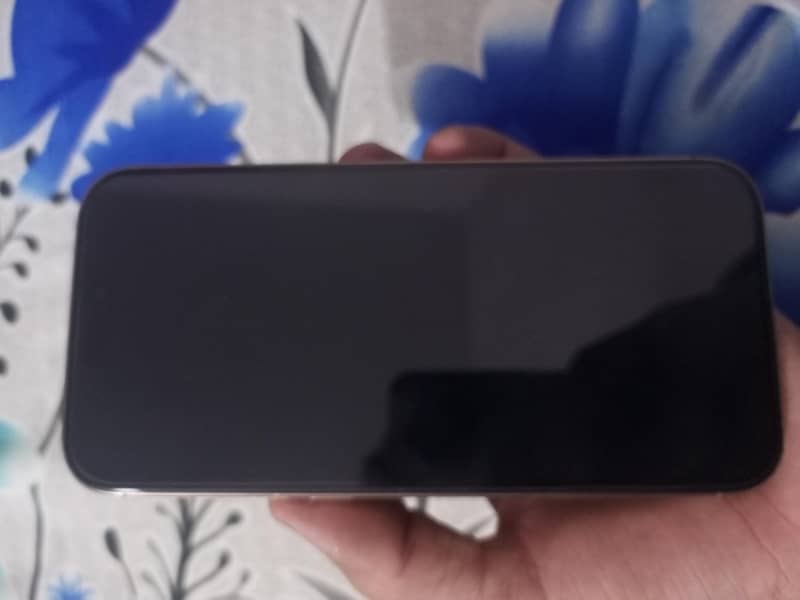 Apple iPhone 16 Pro Max 1