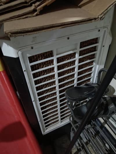 Full size cooler