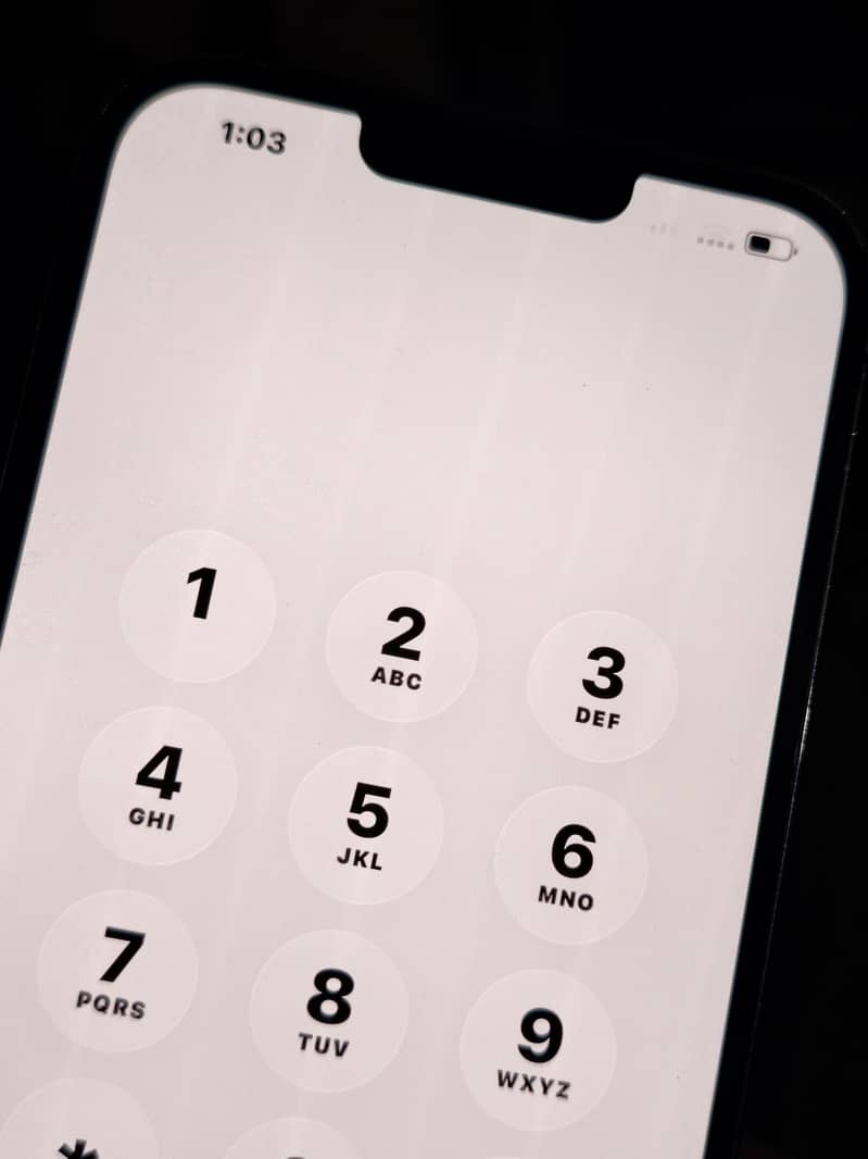 Apple iPhone 13 Pro Max read add first 6