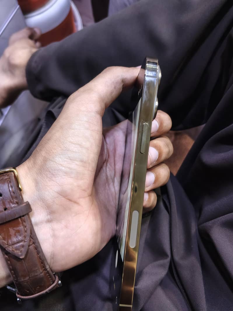 Apple iPhone 13 Pro Max 1