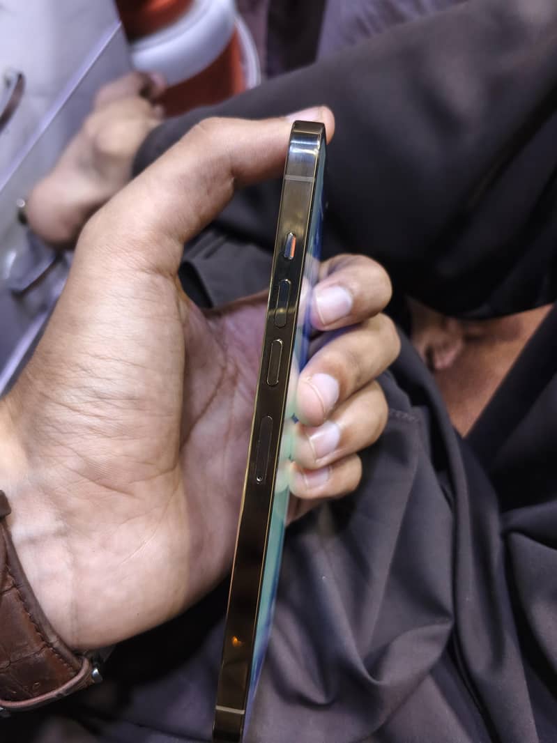 Apple iPhone 13 Pro Max 2