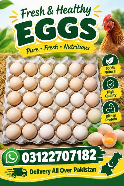 Fresh Farm Eggs | 100% Natural & High Quality | Table egss or fertile