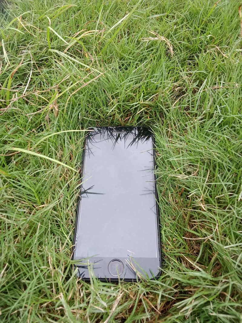 Apple iPhone 7 3