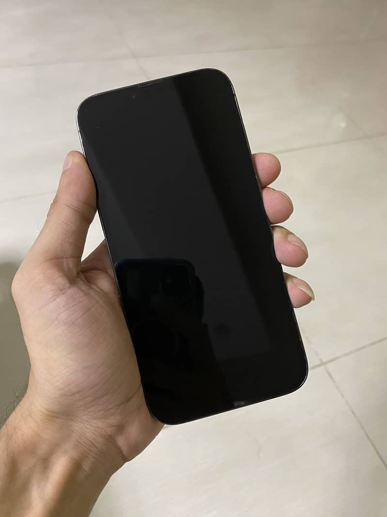 Apple iPhone 13 Pro Max 0