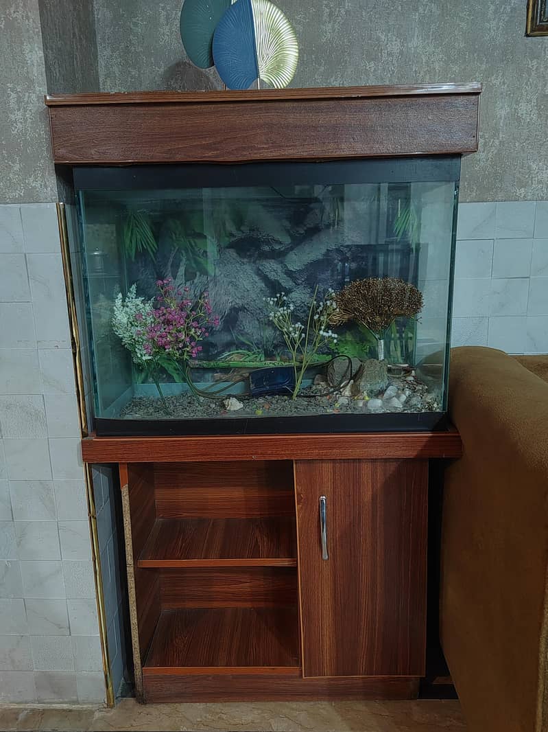fish equarium 2