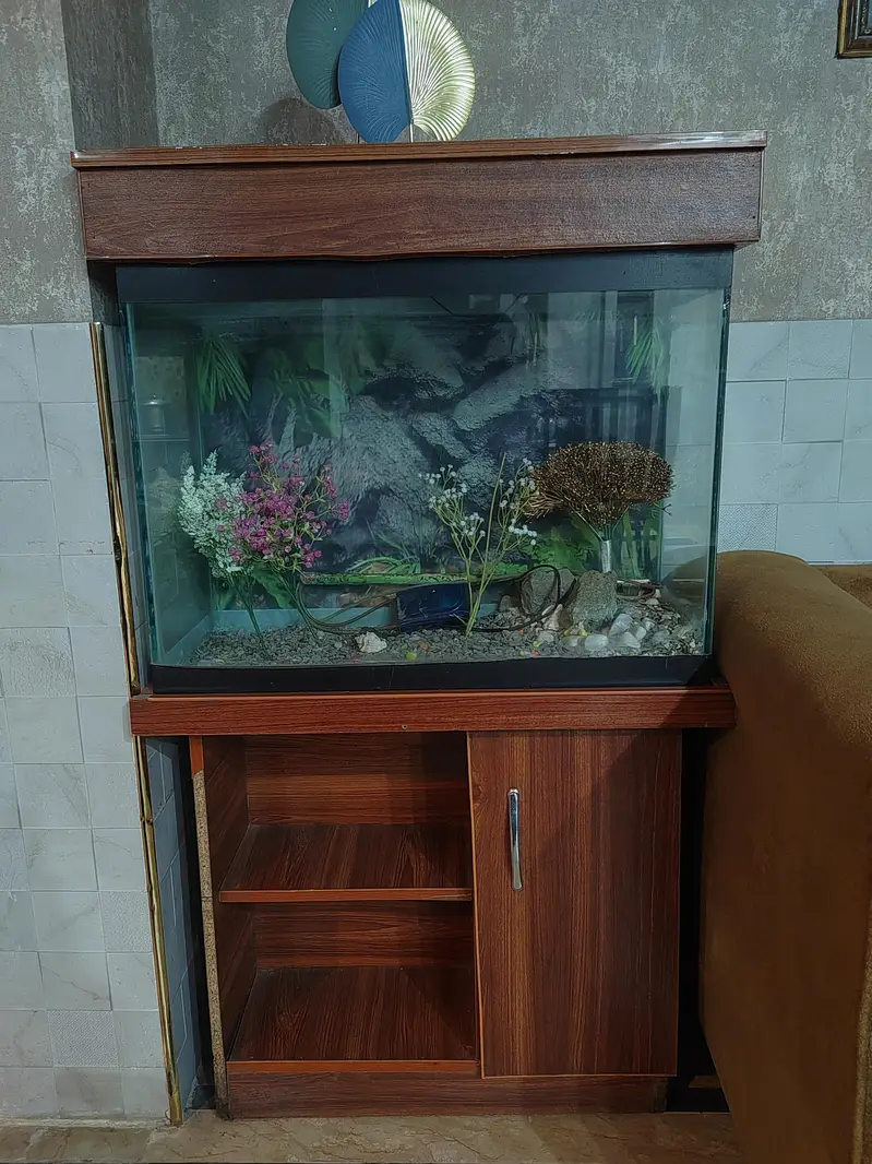 fish equarium — photo 3