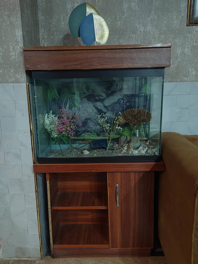 fish equarium 3