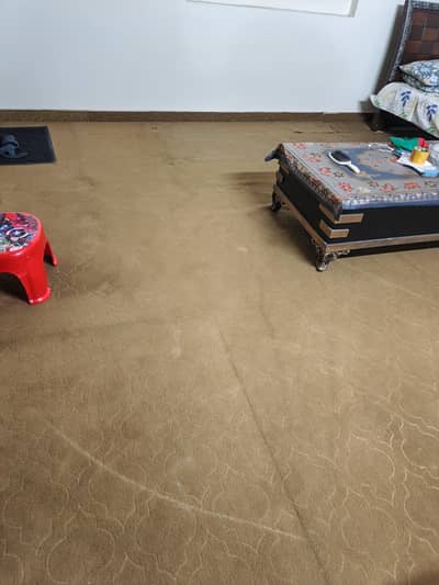 carpet for sale