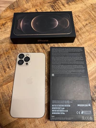 Apple iPhone 12 Pro Max