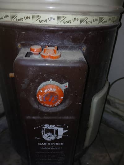 35 gallon izone gas geyser